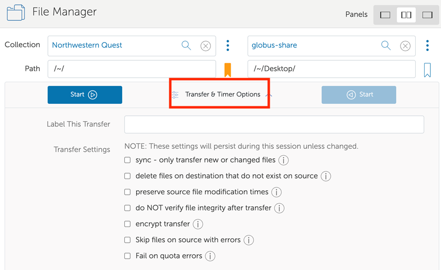 Globus transfer options