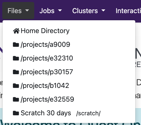 Quest OnDemand File App Dropdown