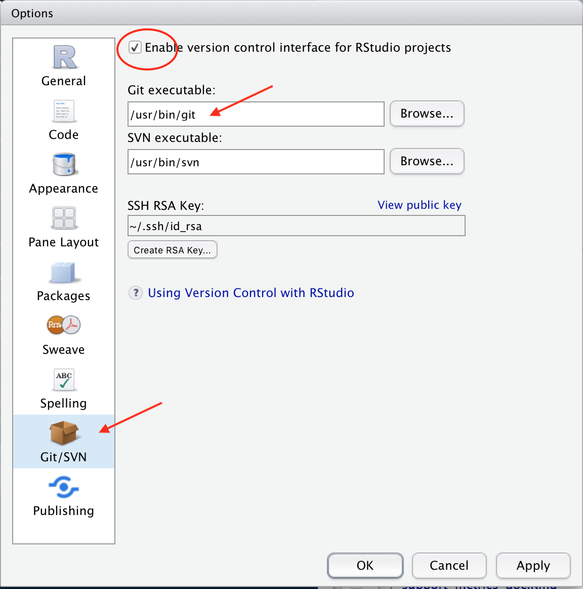 RStudio Git Configuration