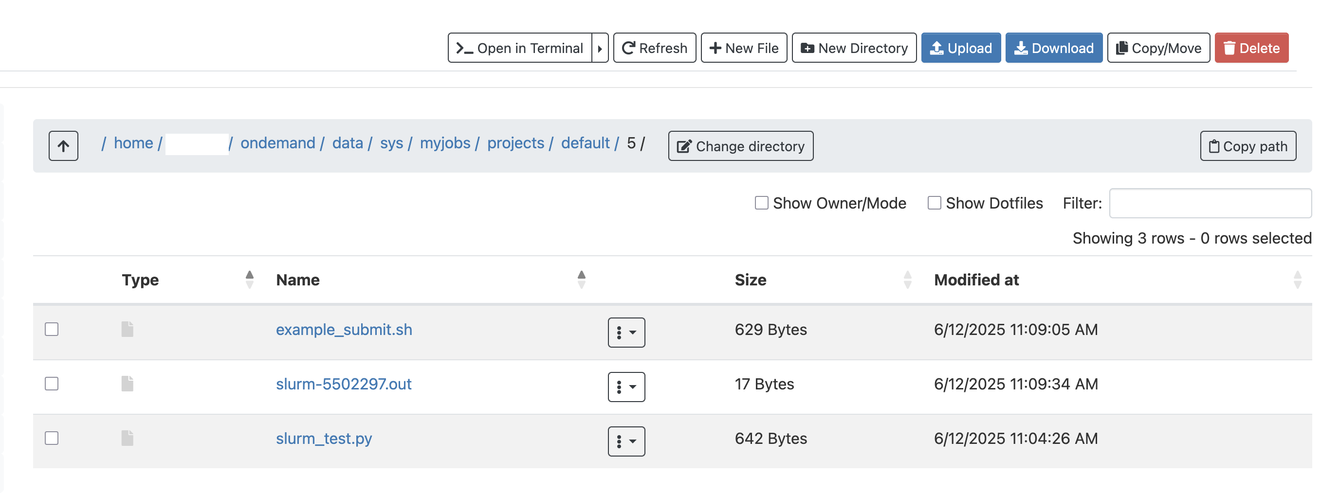 Quest OnDemand View Job Related Files including the Slurm Output in File Finder App